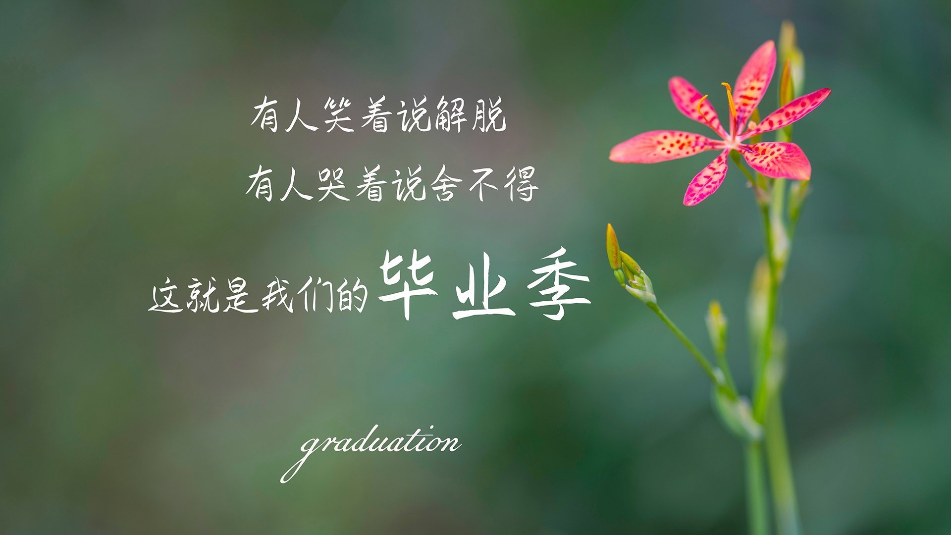 迷你马拉松，城市健身新潮流，什么叫迷你马拉松