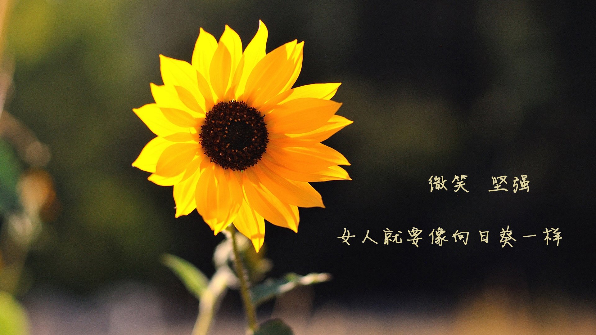 国足传球中断点与失控局面对应关系，足球比赛中断串子怎么算