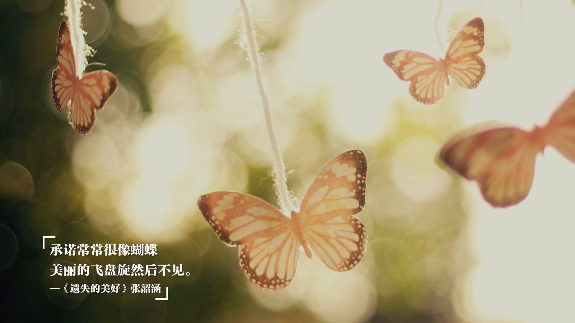 赛场内外：激烈比拼的战术分析与战役点评，战术对打