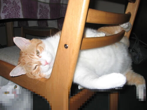 乐鱼电竞-全民健身项目广泛开展提升健康水平，广泛开展全民健身运动增强全民体质