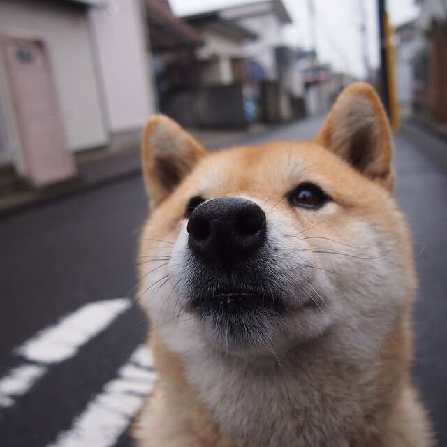 快慢节奏交替是否利于球员保持状态，快节奏和慢节奏