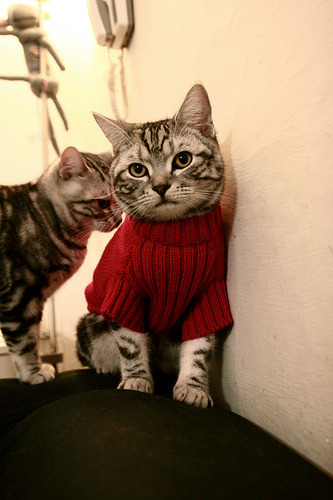 乐鱼vip-足球学校与俱乐部合作模式不畅