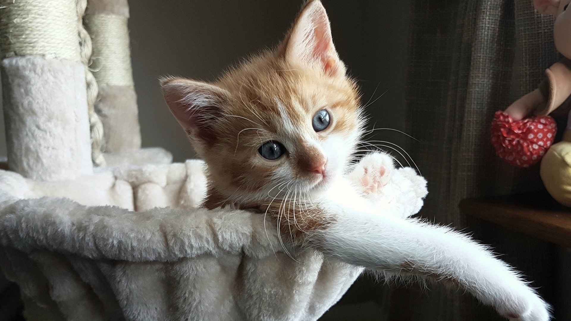 乌拉圭队士气高昂，期待国际赛场大放异彩