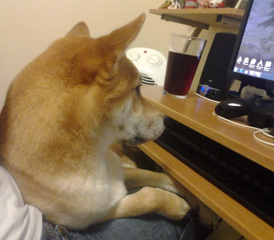 乐鱼vip-国家队球员海外集训结束团队协作能力明显提升，足球国家队集训