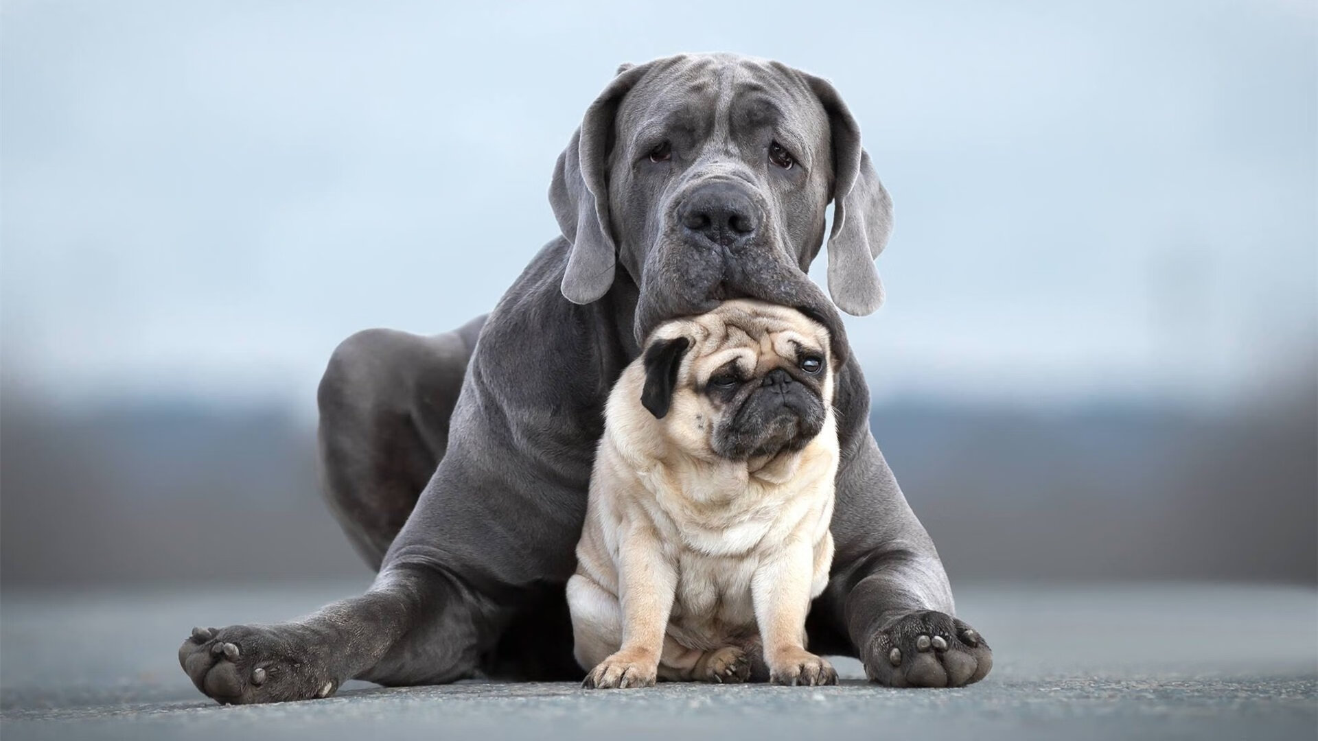 德甲攻势如潮:疯狂进攻令人目不暇接,德甲解析