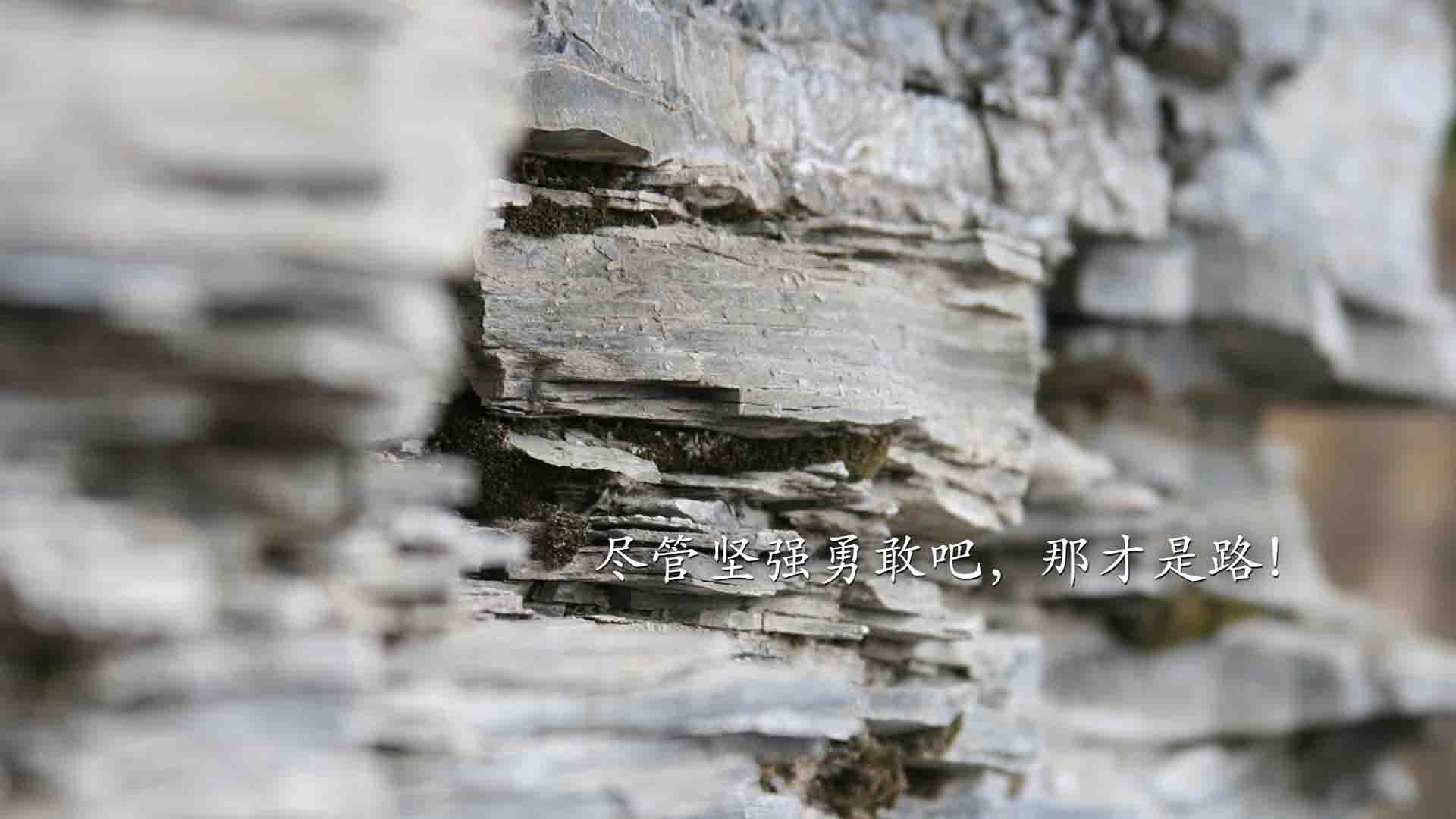 乐鱼官网-森林狼重点提升防守轮转反应训练安排紧凑，森林狼控球后卫